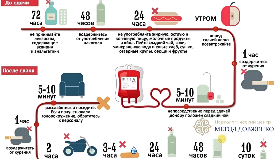 Инфографика Правила сдачи крови