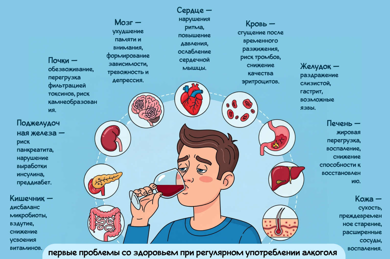Инфографика с мужчиной и бокалом вина, вокруг органы — последствия употребления алкоголя для почек и других систем организма.