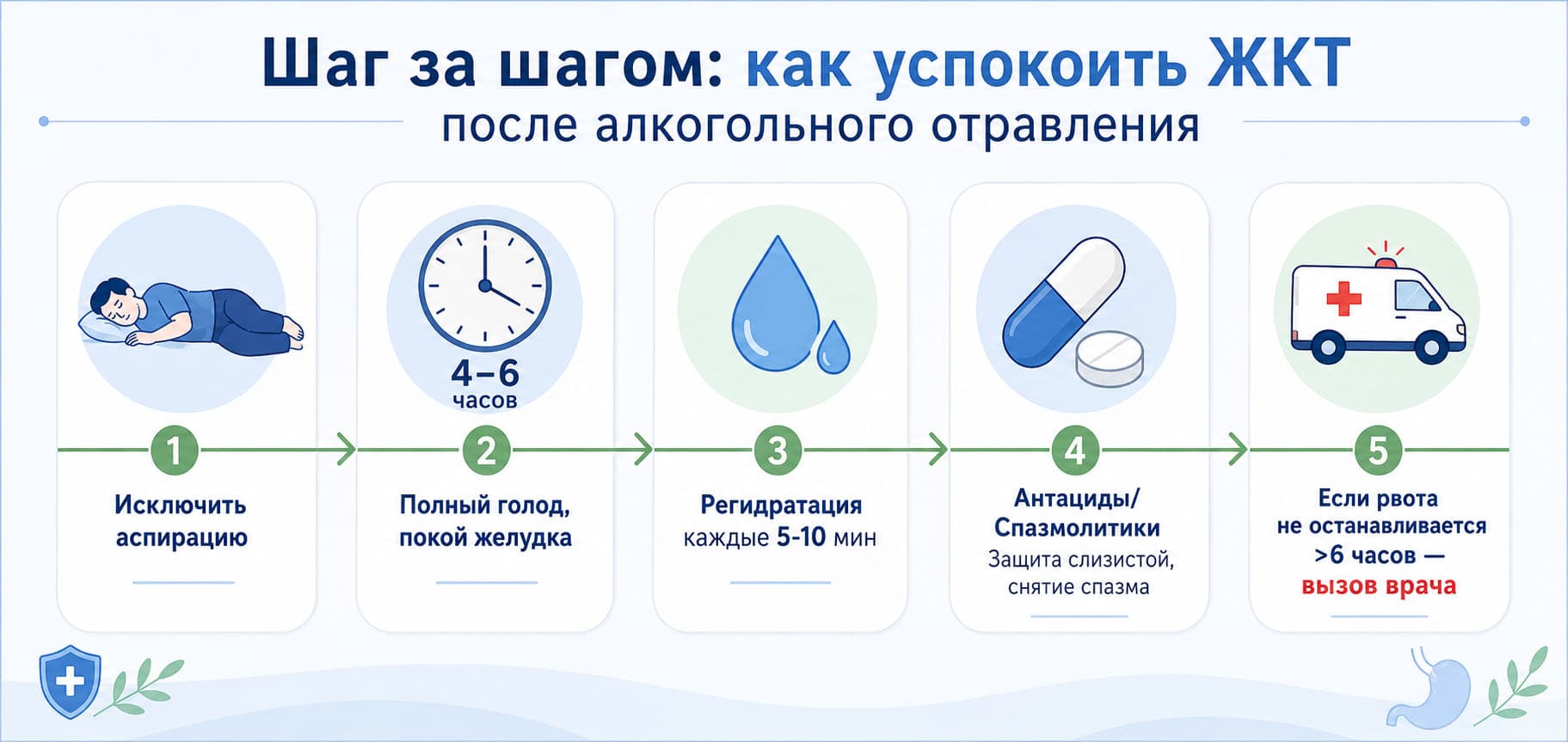 Инфографика «Шаг за шагом: как успокоить ЖКТ после алкогольного отравления»